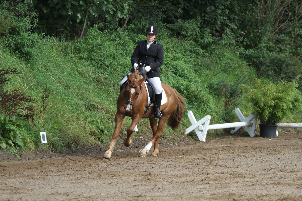 Bild 113 - WBO-Turnier am 18.9.11